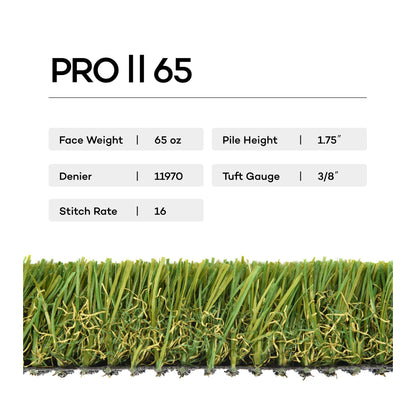 Samples - Pro Turf II 65 oz Landscaping Turf - Fresh St. Augustine